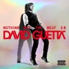 David Guetta Feat. Ne-Yo & Akon - Play Hard
